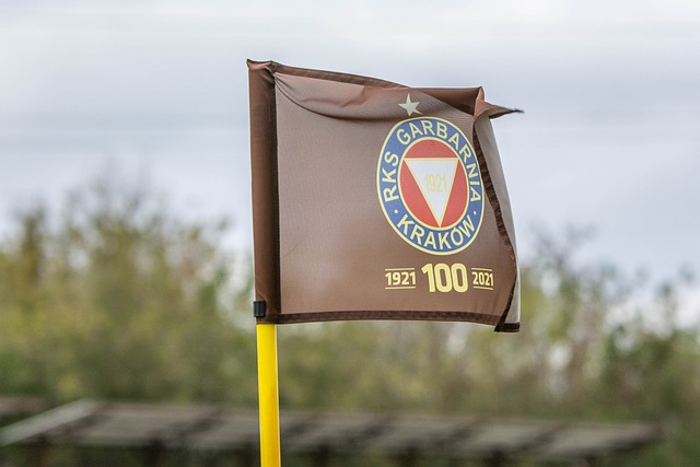 协调不足 协调不足