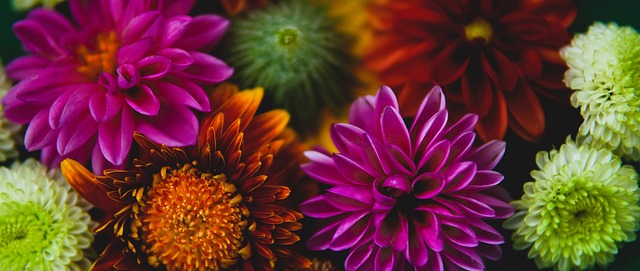 的舞台上 的舞台上