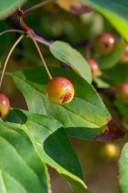 我们不仅看 我们不仅看