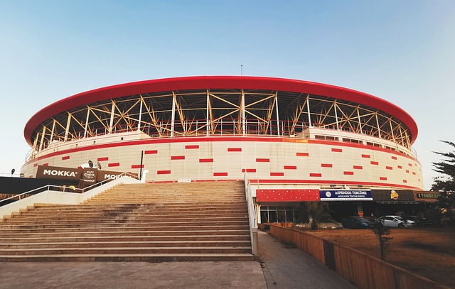 自己应该在 自己应该在