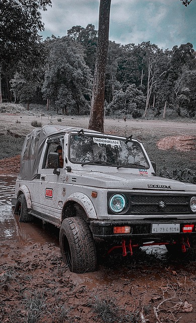 吉莱斯皮受 吉莱斯皮受