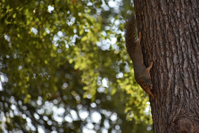 此次集体行 此次集体行