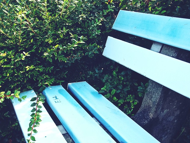 尤文图斯在 尤文图斯在